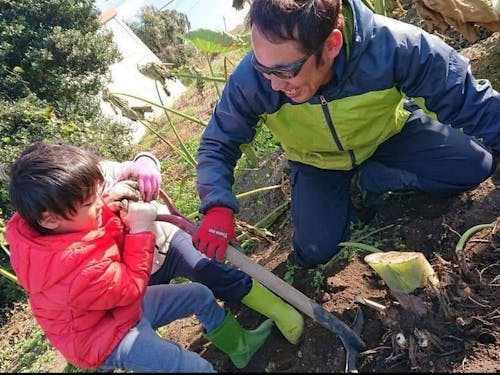 里山の畑で、土のぬくもりにふれる里芋掘り体験