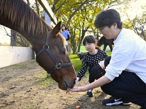 馬たちとのふれあいが、訪れる人の笑顔を生み出します。