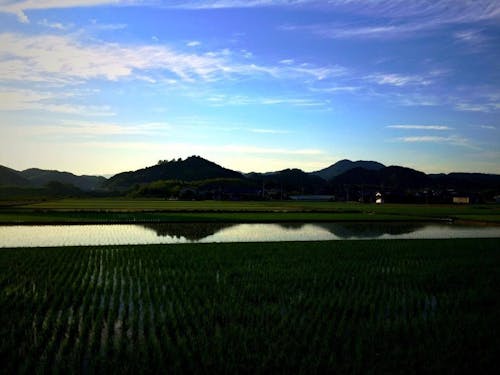 一日中、絶景!