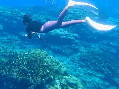 透明度抜群のサンゴ礁の海