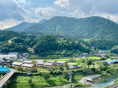 大埜地の集合住宅。神山らしい風景をつくるための様々な工夫が詰め込まれてます。