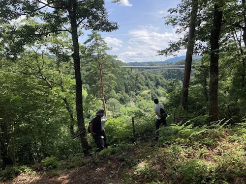 紅葉の中をおしゃべりしながら仲を深めます