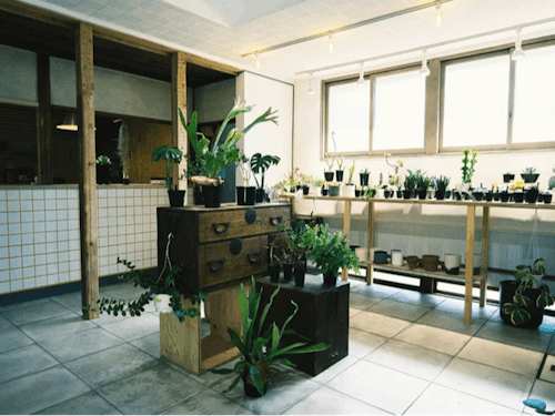 古民家をDIYをした店