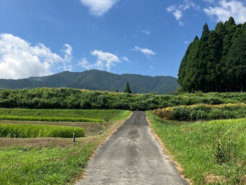 畑地区周辺写真②