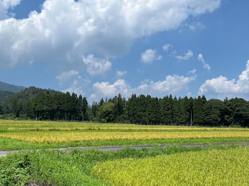 深清水周辺写真②