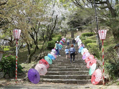 城址では春にもイベント(桜まつり)を開催。
