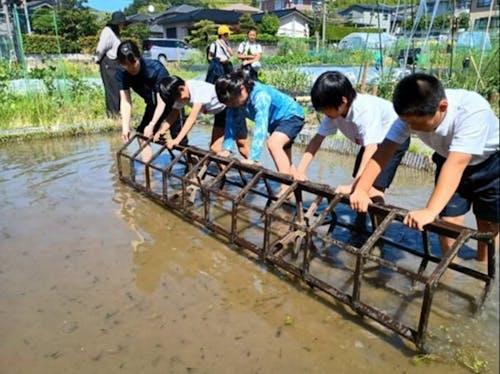 近隣の小学校と協力して実施している「みんなの田んぼ」
