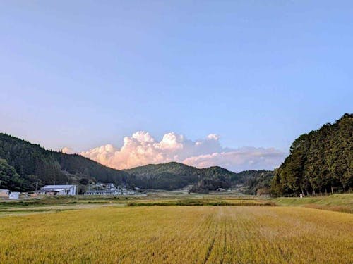 集落の風景