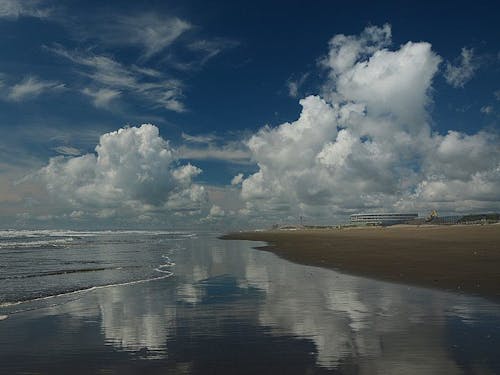 九十九里町は全長66kmにおよぶ「九十九里浜」の中央に位置します