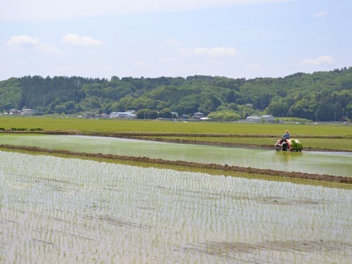 山や田畑に囲まれた、のんびりとした空気のある町です