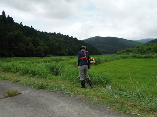 実習もあります