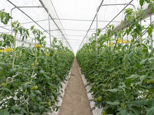 2.多可町内各農家さんの農場を回ります