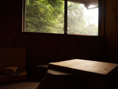 窓から見える裏山の景色