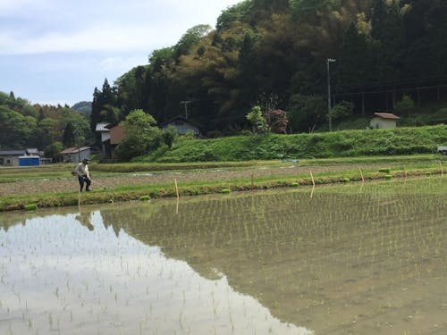 山間部は敷地も広々。