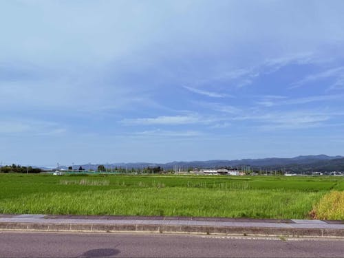 遥香さんの好きな風景