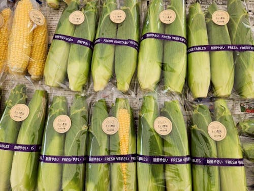 さとう農園のとうもろこし