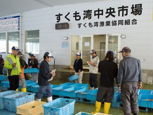 魚種の数と言ったら宿毛湾!珍しい魚に会えるかも