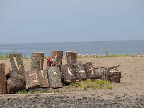 海へのアクセスも抜群です。漁港では釣り、ビーチでは海水浴を楽しむことができます。