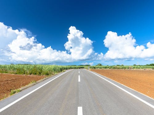 広い空とサトウキビ畑