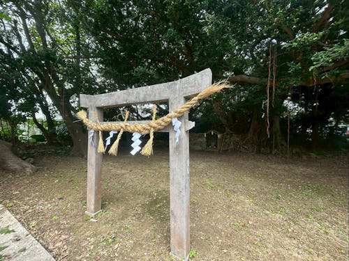 石垣の日常風景