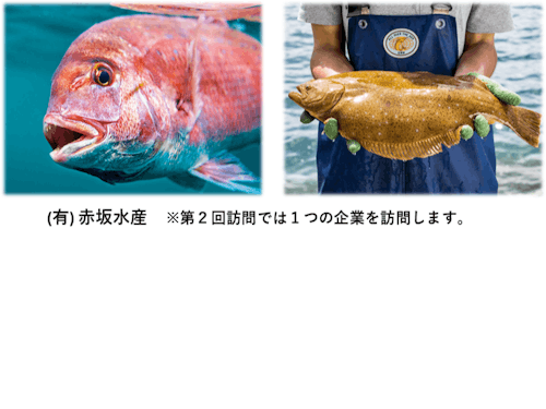 第2回（10月訪問）の企業