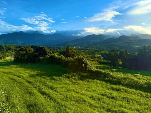 【かのや市】海、山、自然もいっぱい。