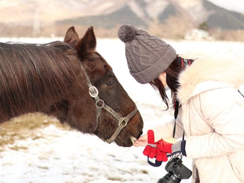 馬好き女子の移住者も多いです
