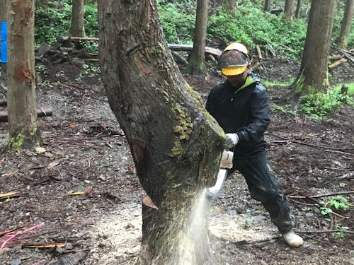 現場作業員の仕事 これぞ林業!という醍醐味を味わえます!