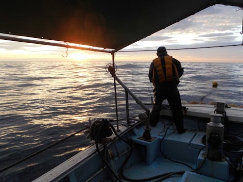 朝の海で作業する漁師の背中