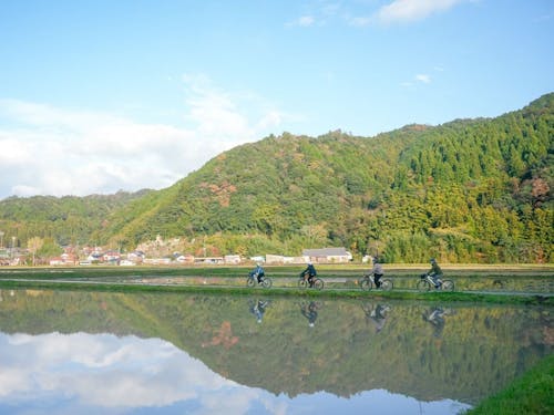 津和野の田園風景