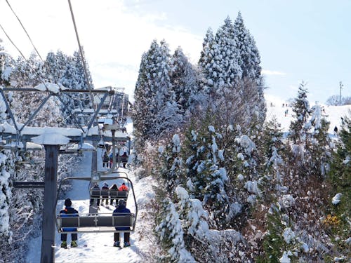 年間観光客数340万人が訪れる観光のまち!