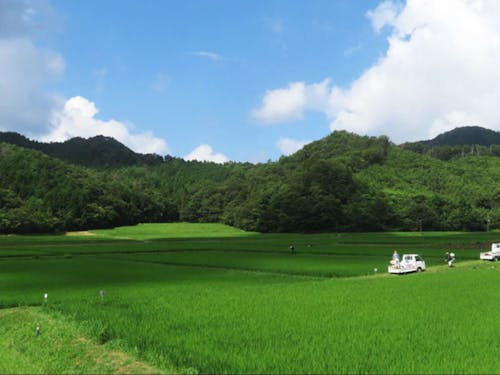 山口県の田園風景