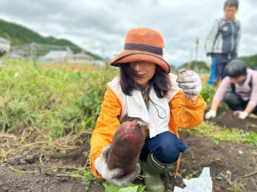 “さつまいも”収穫に笑顔があふれます😊