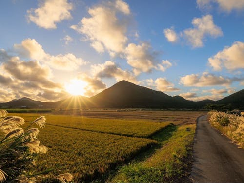 沖縄の原風景が残る島です♪