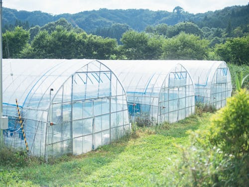 飯舘村臼石地区にあるハウス