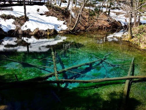 清里町の観光名所、透き通る青が特徴の「神の子池」
