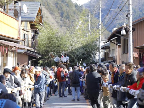 お正月の伝統行事"お松引き"