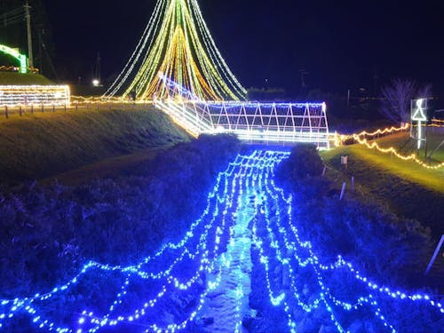 完成したイルミネーションをぜひ見にきてください！
