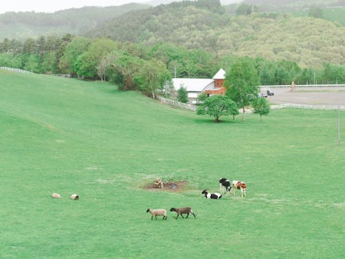 「くずまき高原牧場」では宿泊も可能🏠