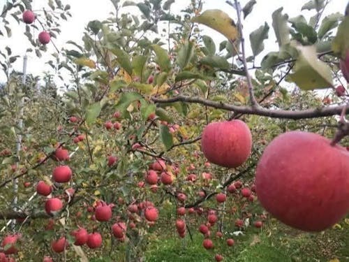 自然豊かなエリアで自分らしく