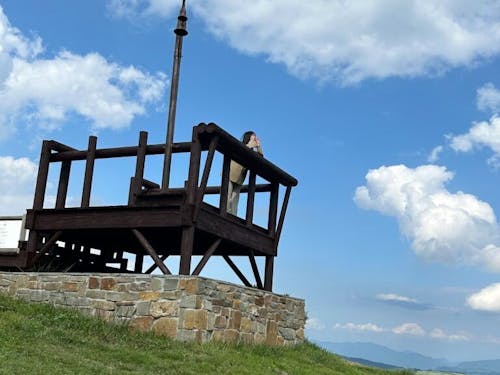 ●難波 美夏さん