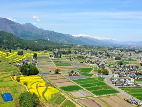 北アルプスの山並みと田畑のある景観