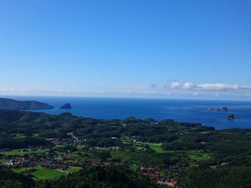 高台から見た景色はこんな感じ