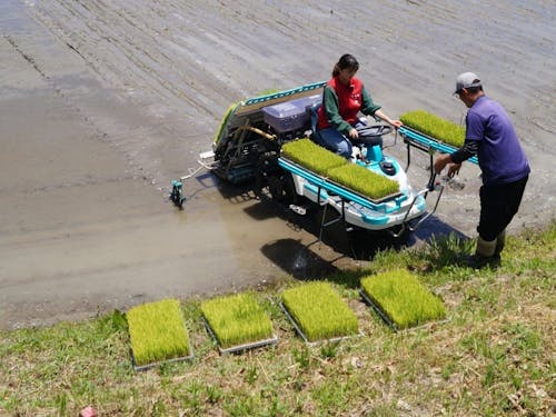 オーダーメイドお試し移住で、いろんな体験が可能です。