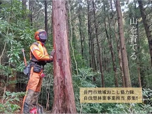 ②自伐型林業事業