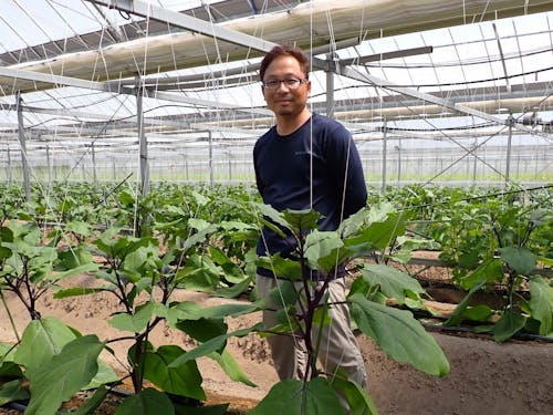 中野農園（ナス栽培）