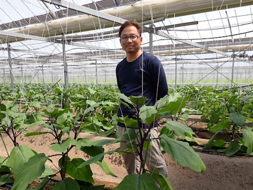 中野農園(ナス栽培)