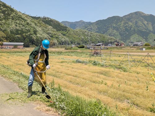 今日は草刈り体験。実はこれ、農作業ではとても重要な仕事なんです！