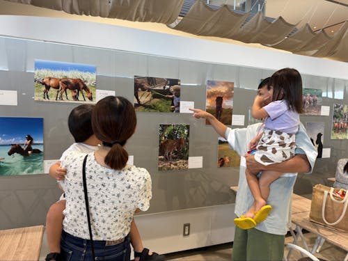宮古馬写真展の様子