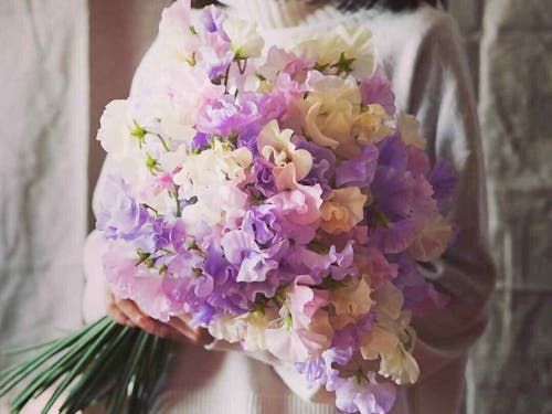 世界に誇れる花のまち♪